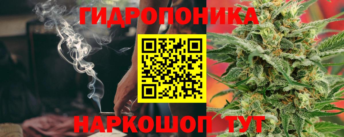 Каннабис сатива Камышлов
