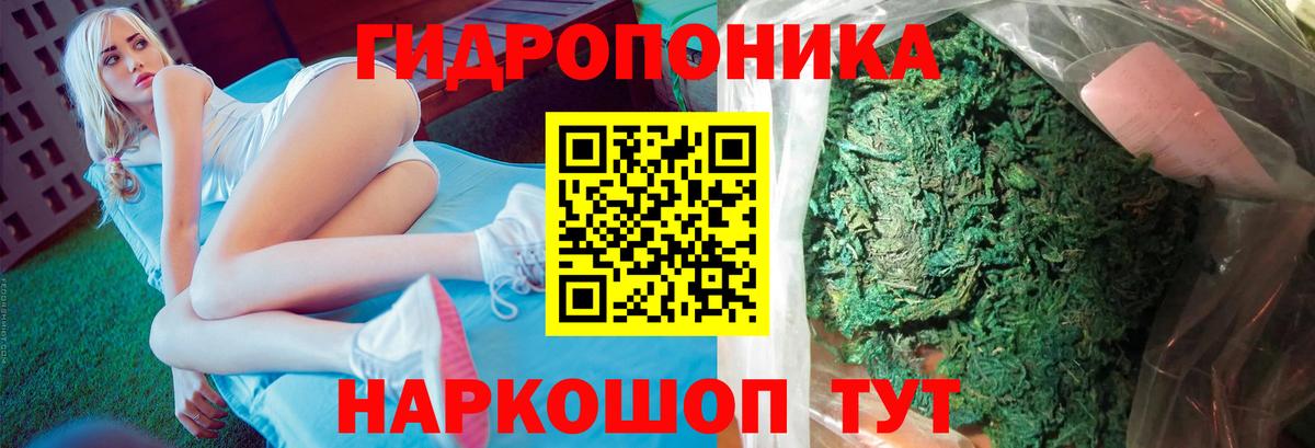 Камышлов  Конопля Bruce Banner  Шишки марихуана Amnesia  Бошки Шишки гибрид  Вход с VPN 